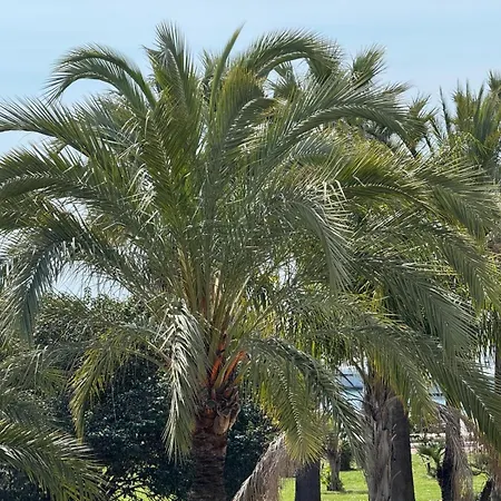 4 Croisette Appartamento Cannes